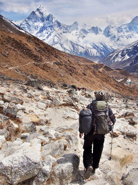 Escursionista sul campo base dell'Everest Trek, Nepal Himalaya
 - Foto, immagini