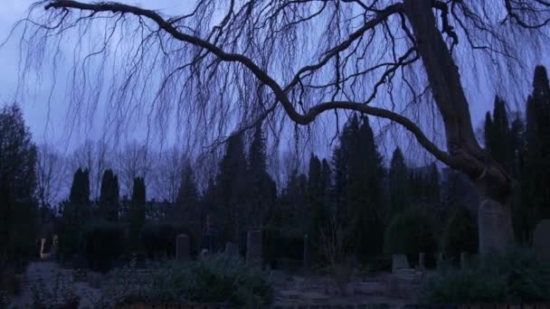 Gruseliger Friedhof / Friedhof in der Dämmerung - 4k - Filmmaterial, Video