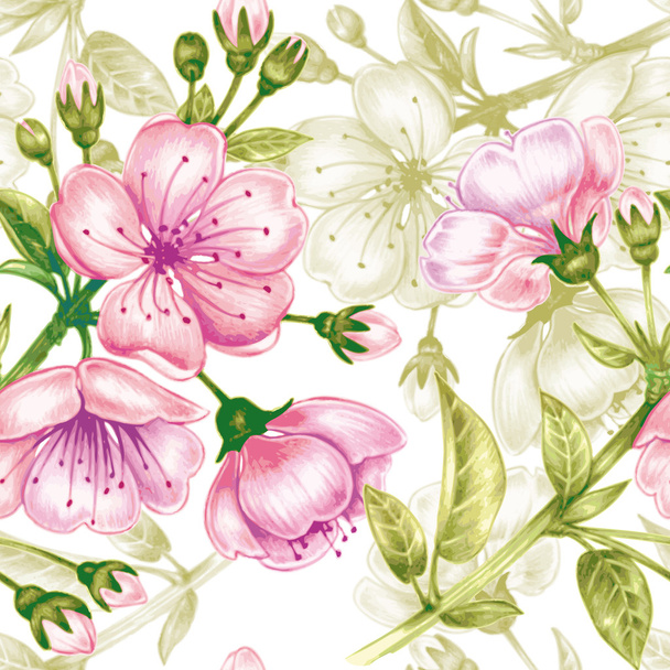 Векторный бесшовный рисунок с цветением вишни
. - Вектор,изображение