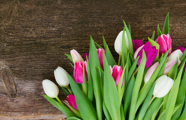 bouquet of  pink, purple and white  tulips - Foto, Imagen