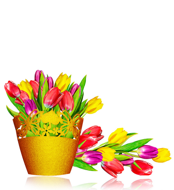 tavaszi virágok tulipán elszigetelt fehér háttér.  - Fotó, kép