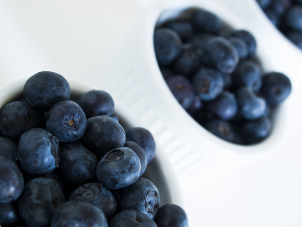 Blueberry - Foto, Imagen
