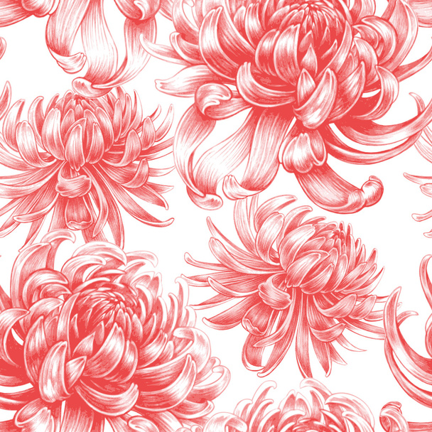 Vector seamless floral pattern with Chrysanthemum flowers. - Vetor, Imagem