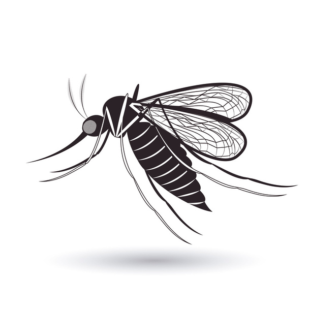 diseño del mosquito infeccioso
 - Vector, imagen