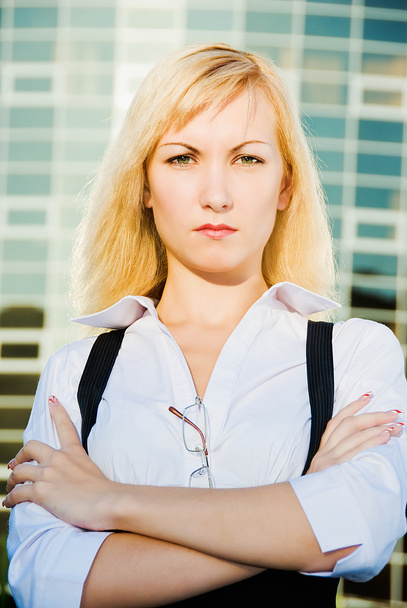 Serious business woman - Photo, Image