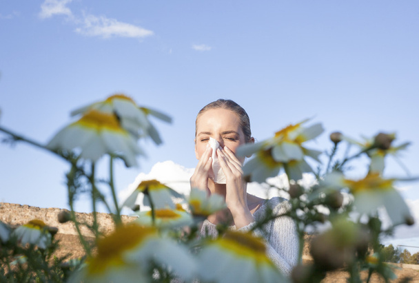 Slečno alergické kýchání na louce - Fotografie, Obrázek