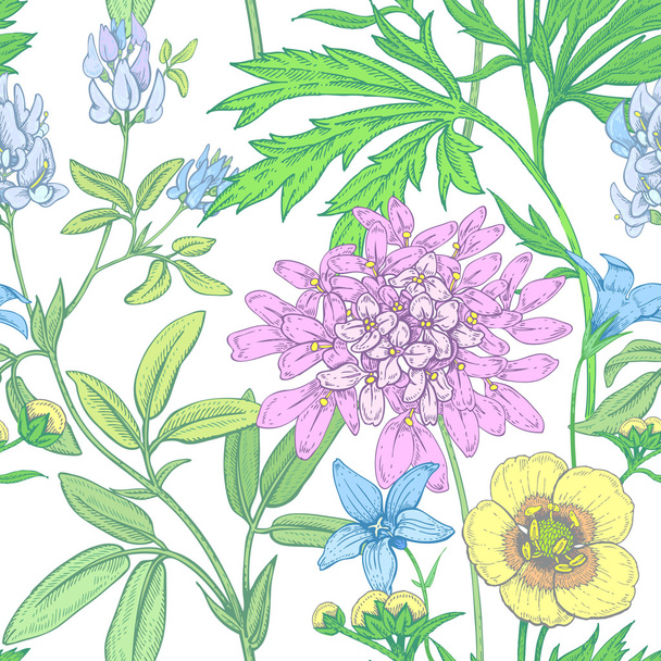 Seamless vector floral pattern. - ベクター画像