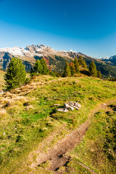 Wanderweg in den Schweizer Alpen - Foto, Bild