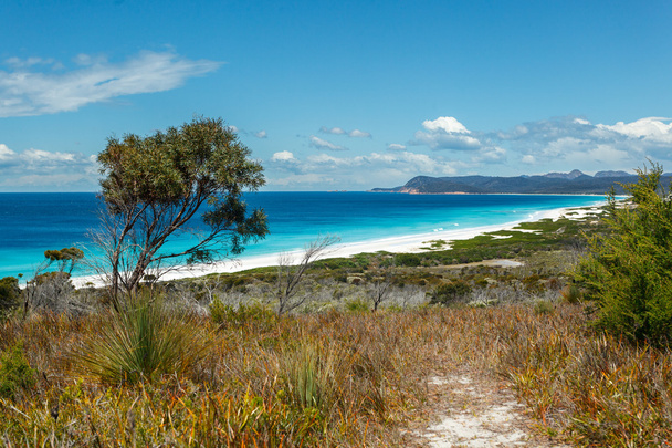 Le infinite spiagge bianche sulla costa orientale della Tasmania
 - Foto, immagini