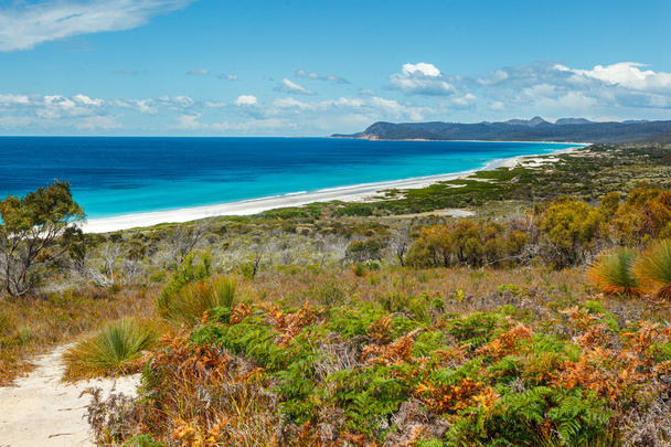 Nekonečné bílé pláže na východním pobřeží Tasmánie - Fotografie, Obrázek