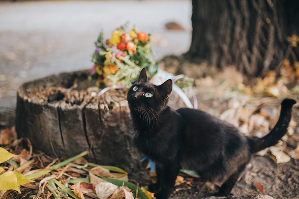 Black cat near wedding bouquet  - Фото, изображение