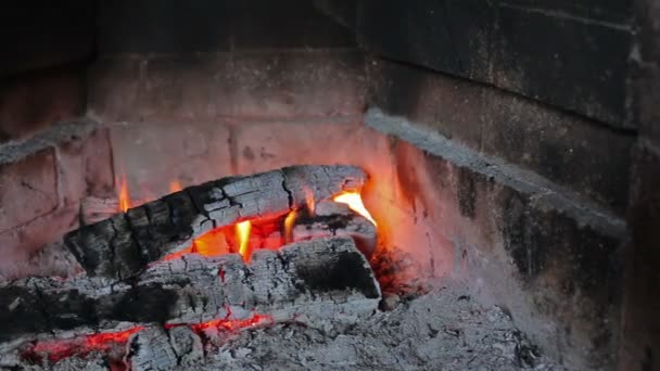 Tűz- és égő fa kandalló - Felvétel, videó