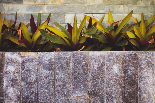 Stone Wall, Steps and Planter - Photo, Image