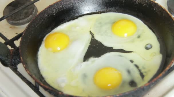 The Process of Frying Eggs in a Skillet - Záběry, video