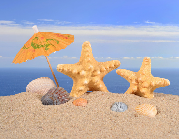 Звезды и моржи крупным планом на пляжном песке
 - Фото, изображение