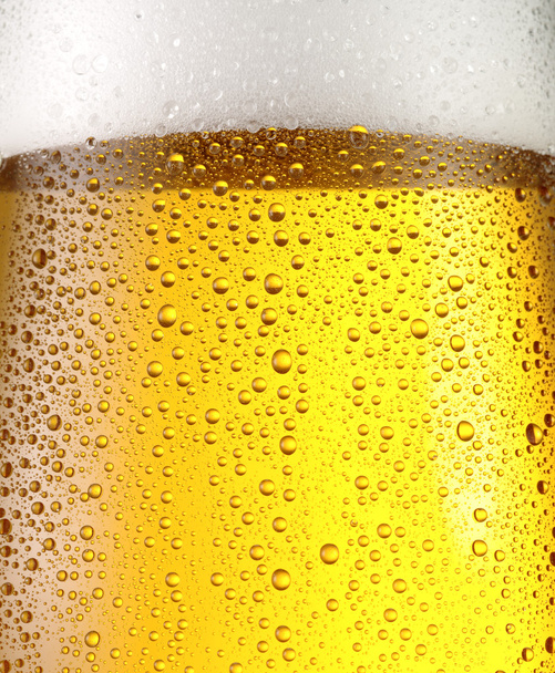 Misted glass of beer. - Photo, Image