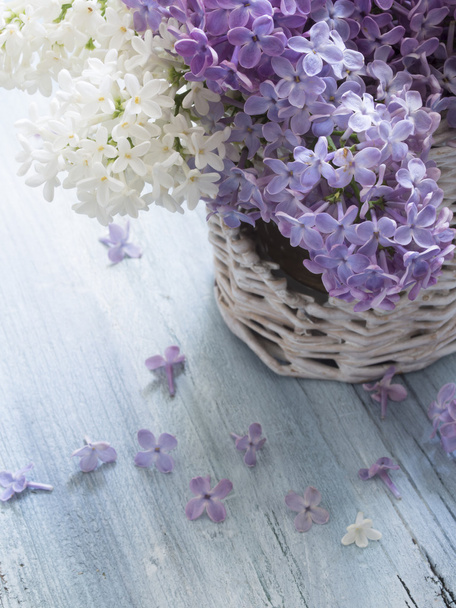 fresh spring lilac flowers - Photo, Image