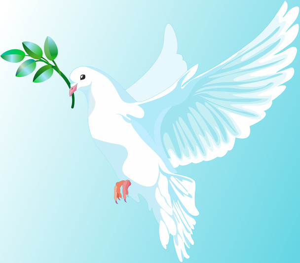 Barış beyaz güvercin - Vektör, Görsel