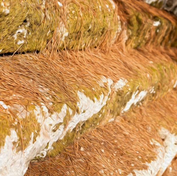 соснові голки руїни камінь і театр в Аріканда ту
 - Фото, зображення