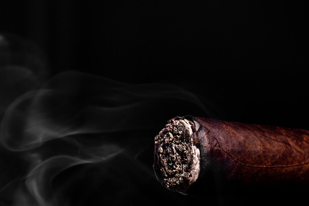 Big brown cigar with ash and smoke - Foto, immagini