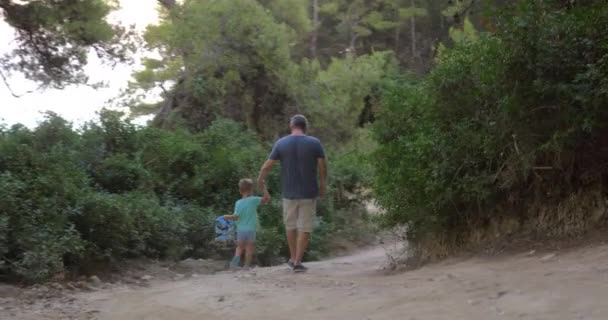 父と息子の森を離れて歩く - 映像、動画