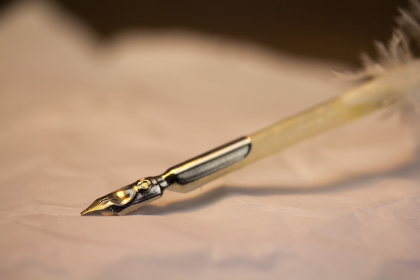Feather quill pen with metal nib - Photo, Image