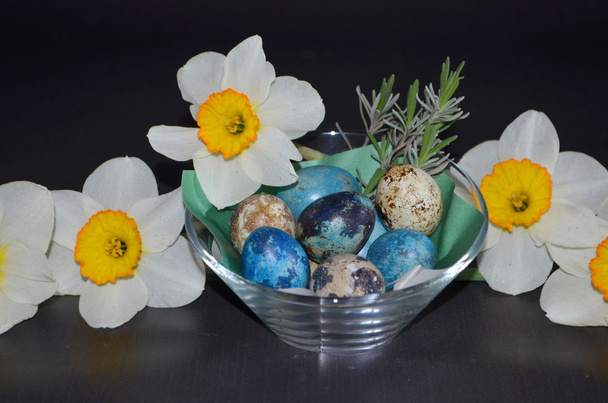 Narcisos y huevos de codorniz de Pascua
 - Foto, imagen
