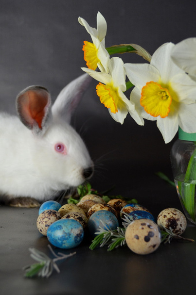Velikonoční zajíček s křepelčími vejci - Fotografie, Obrázek