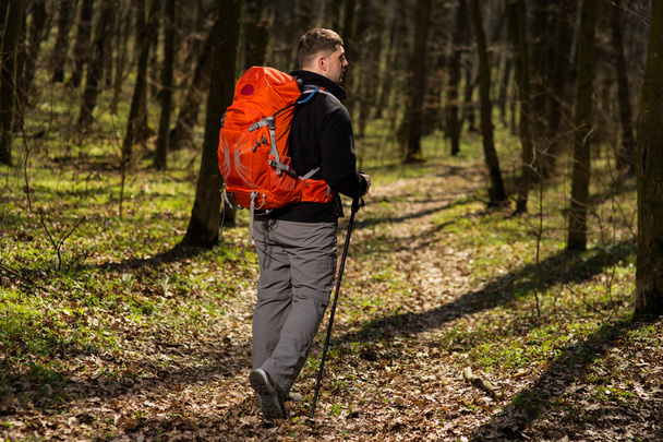 Male hiker looking to the side walking in forest - Фото, изображение