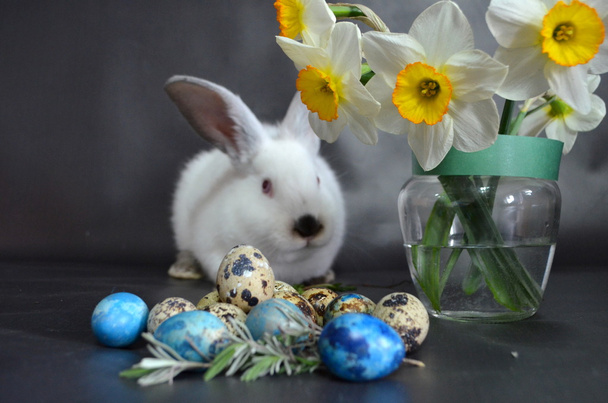 Velikonoční zajíček s křepelčími vejci - Fotografie, Obrázek