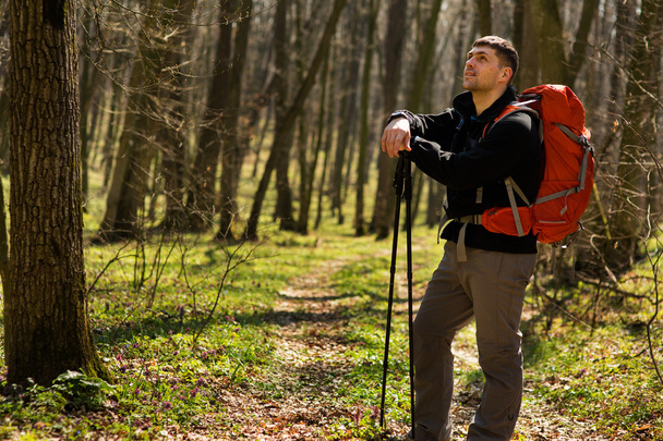 Male hiker looking to the side walking in forest - Foto, immagini