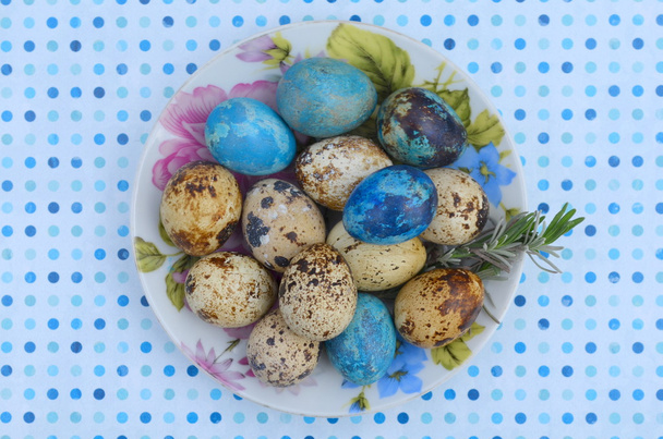  Huevos de codorniz
 - Foto, Imagen