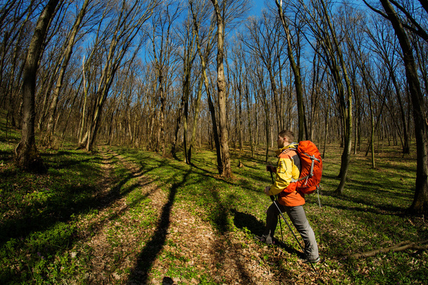 Male hiker looking to the side walking in forest - Fotó, kép