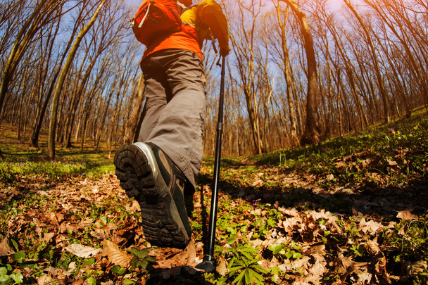 Male hiker looking to the side walking in forest - Foto, Imagem