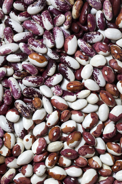 background bean seeds - Foto, Imagem