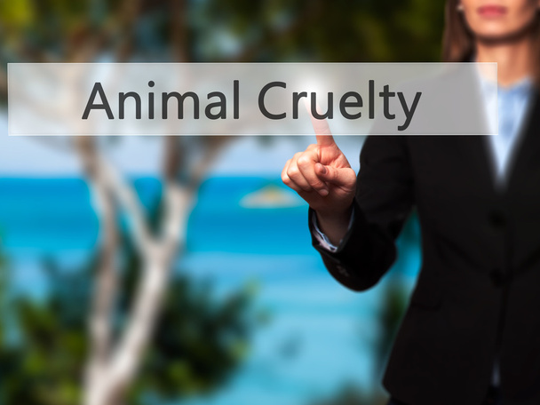 Crueldad animal - Empresaria pulsar botón de mano en el tacto scr
 - Foto, Imagen