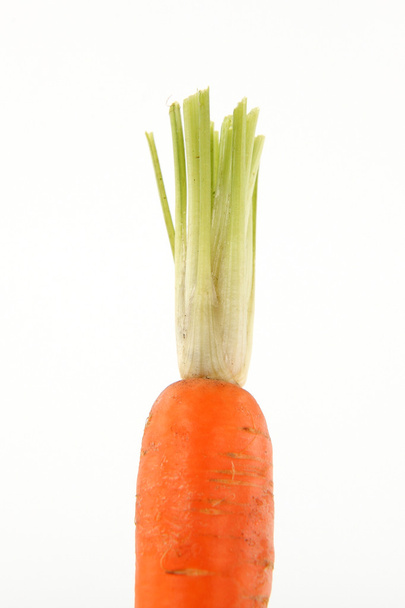 морква
 - Фото, зображення