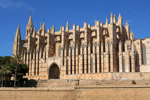 La Seu соборі Пальма, Пальма де Майорка, Іспанія - Фото, зображення