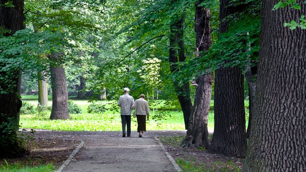 Senior couple in the park - Zdjęcie, obraz