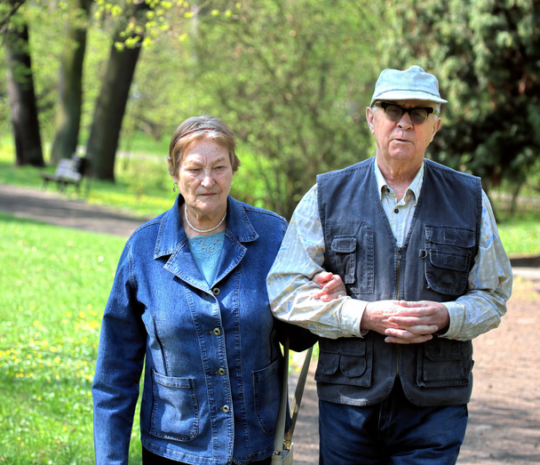 Senior couple in the park - Foto, Imagem