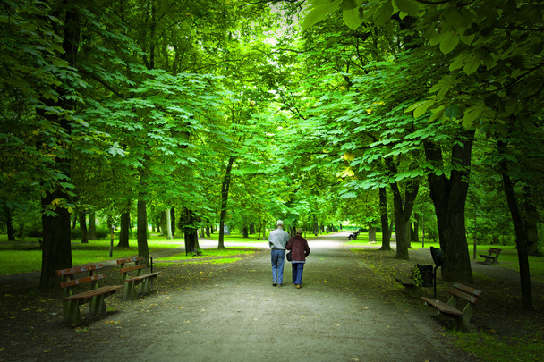 Elderly couple walking in the spring park - Zdjęcie, obraz
