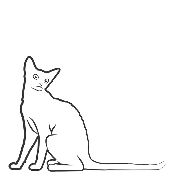 Эскиз домашней кошки
.  - Фото, изображение