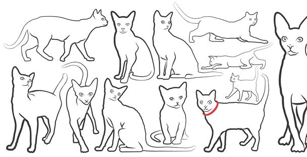 Эскизы домашних кошек
. - Фото, изображение