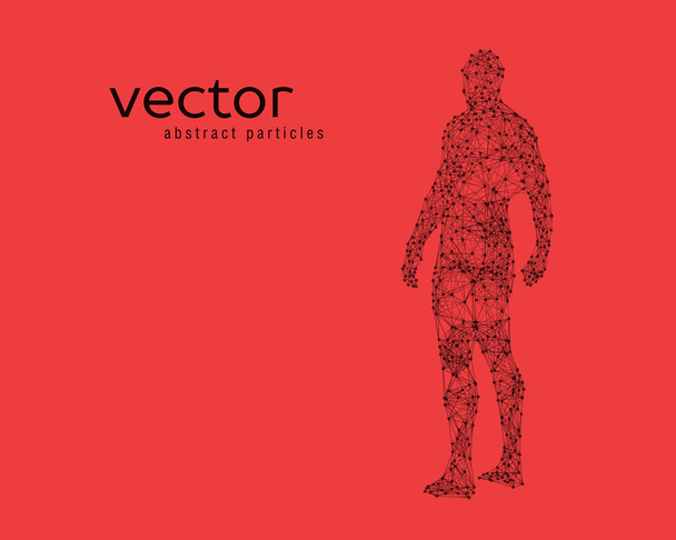 Vector illustration of human body - Вектор, зображення