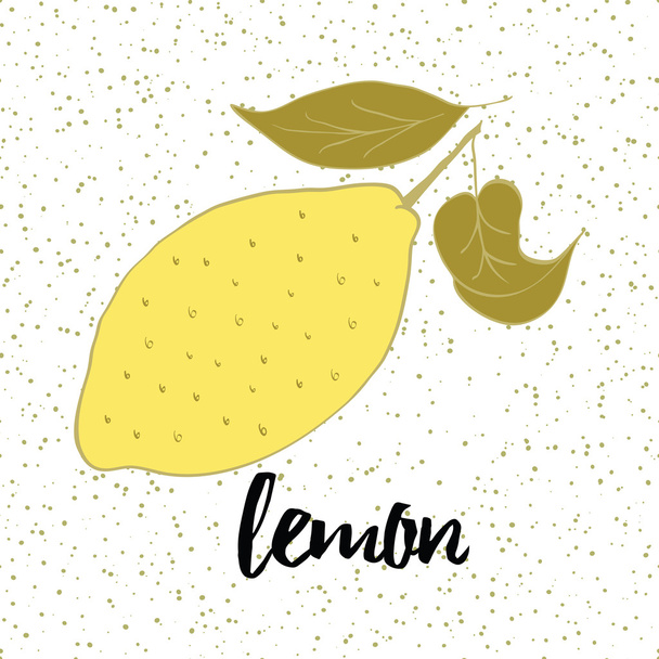 Hand drawn fresh lemon with leaves on the white background with drops. - Vector, Image