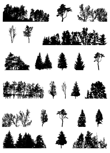 zestaw sylwetka drzewa na backgorund białym tle. vecrtor chorych - Wektor, obraz