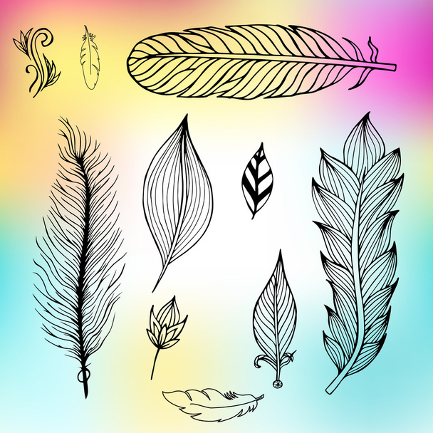 Set of hand drawn feathers. Vector illustration. - Vector, Image