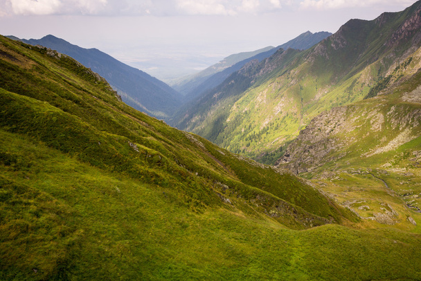 A romániai Kárpátok hegység gyönyörű zöld völgyében - Fotó, kép
