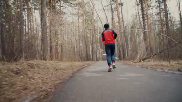 Man loopt in het bos hout opleiding - Video