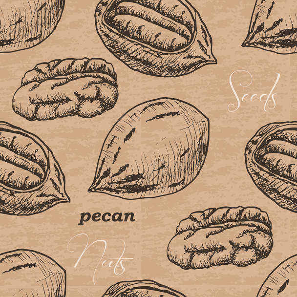 Seamless pattern with pecan on a vintage background - Vector, Imagen